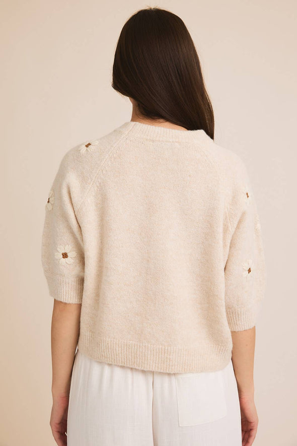 Round Neck Short Sleeve Sweater Top