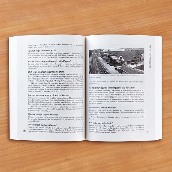 "The Handy Wisconsin Answer Book" by Terri Schlichenmeyer and Mark W. Meier