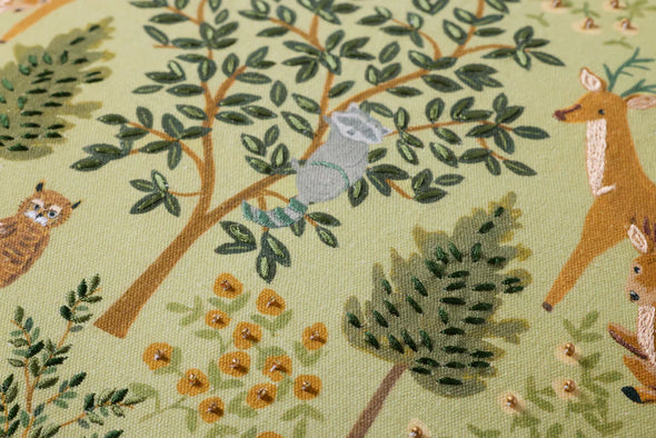 Meadow Rifle Paper Co. × Loloi